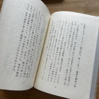 伊太利ルネッサンス生活芸術科学、レオナルド・ダ・ヴィンチの創意