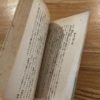更生記