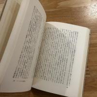 現代文学の条件