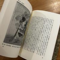 近世の呪縛 : サディズムの精神史
