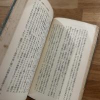 近代日本文学の系譜