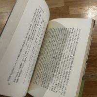 抒情の伝統　日本文学における浪漫精神
