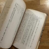 小説太宰治