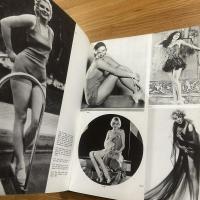 The pin-up : a modest history 英文
