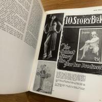 The pin-up : a modest history 英文