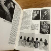 The pin-up : a modest history 英文