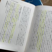 精神分析セミナー 全5冊揃