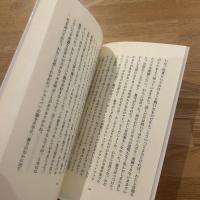 レクイエム : ある幻覚