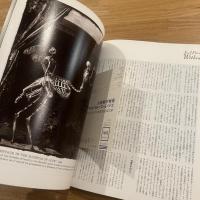 SWITCH Vol.11 No.5 (1993年11月号) 特集: ジョエル=ピーター・ウィトキン/アッバス・キアロスタミ