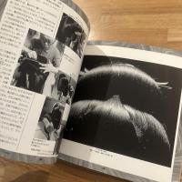 天辺のモード : かつらと装飾
