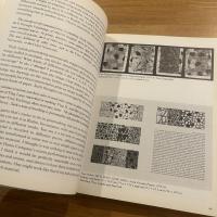 Jasper Johns Working Proofs 　英文
