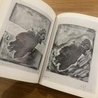Jasper Johns Working Proofs 　英文