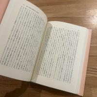 躁うつ病と対人行動 : 実存分析と役割分析