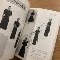 甲冑拳法柳生心眼流