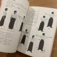 甲冑拳法柳生心眼流