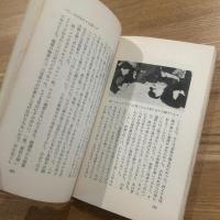 赤い夕日の果てに : 大陸を追われた日本人哀史