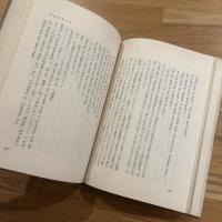 ニュー・クリティシズム : その歴史と本質 現代芸術叢書3