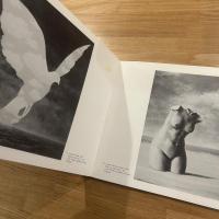 Rétrospective Magritte 1979（仏語）/ ルネ・マグリット