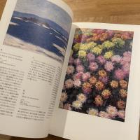 印象派と近代絵画の誕生 : モネからピカソまで