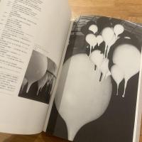 Hanging : Tsukashin Annual '86