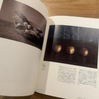画家の眼差し、レンズの眼 : 近代日本の写真と絵画