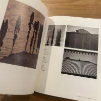 画家の眼差し、レンズの眼 : 近代日本の写真と絵画
