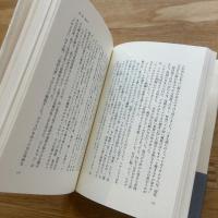 イサム・ノグチ : 宿命の越境者