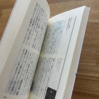 ロックン・ロール&ポップス事典'55～'63