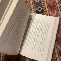 道教研究