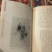 yaso 夜想　創刊号　特集アンドレ・ピエール・ド・マンディアルグ×ボナ