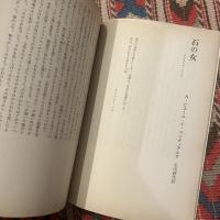 yaso 夜想　創刊号　特集アンドレ・ピエール・ド・マンディアルグ×ボナ