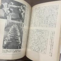 yaso 夜想 15 特集：少年