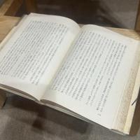 秘楽 : 禁色第二部