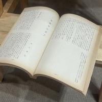 比較文學研究　第13号 特輯：森鴎外研究　