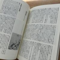 夜想 22 クロソウスキー