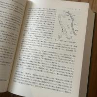 江連用水史