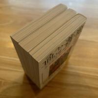 血と薔薇　1・2・3　3冊揃い　エロティシズムと残酷の総合研究誌　河出文庫