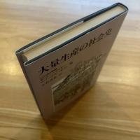 大量生産の社会史
