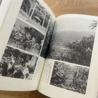 ドキュメント八重山開拓移民