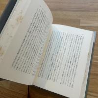 伏見康治著作集