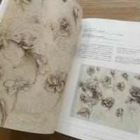 レオナルド・ダ・ヴィンチ-天才の挑戦　Leonardo da Vinci-beyond the visible Leonardo da Vinci-beyond the visible : 日伊国交樹立150周年記念特別展