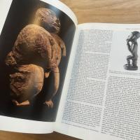 Primitivismus in der Kunst des zwanzigsten Jahrhunderts ドイツ語 /原始主義、20世紀の芸術において