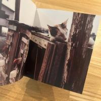 Neko wa Neko ＿＜サイン・ポストカード付＞