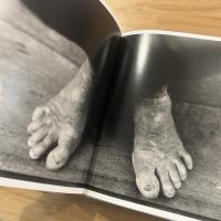 (英文)サーフ・ブックSurf Book : Halsband, Michael, Tudor, Joel