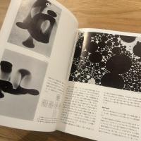 グラフィックデザイン大系