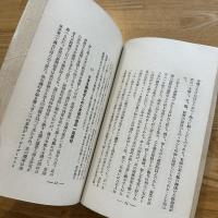 日本怖るべし　科學畫報新年号付録