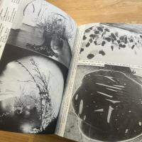 P.C.A. Projecte・Concepte & Actionen　ドイツ語