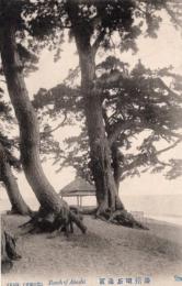 N26010667〇戦前絵葉書○播州 兵庫 明石海浜　古写真○和本古書古文書
