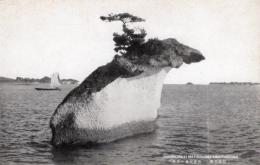 N26010675〇戦前絵葉書○宮城 松島名勝 兜島の奇景 古写真○和本古書古文書
