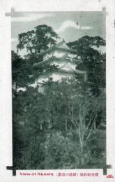 N26010680〇戦前絵葉書○播州 兵庫県 明石城 封建の面影　古写真○和本古書古文書
